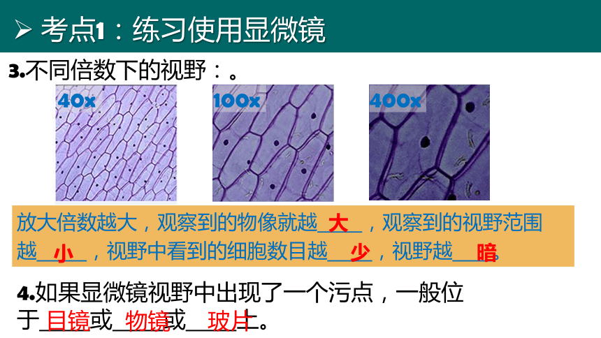 七上 第二单元生物体的结构层次-复习课件(共35张PPT)