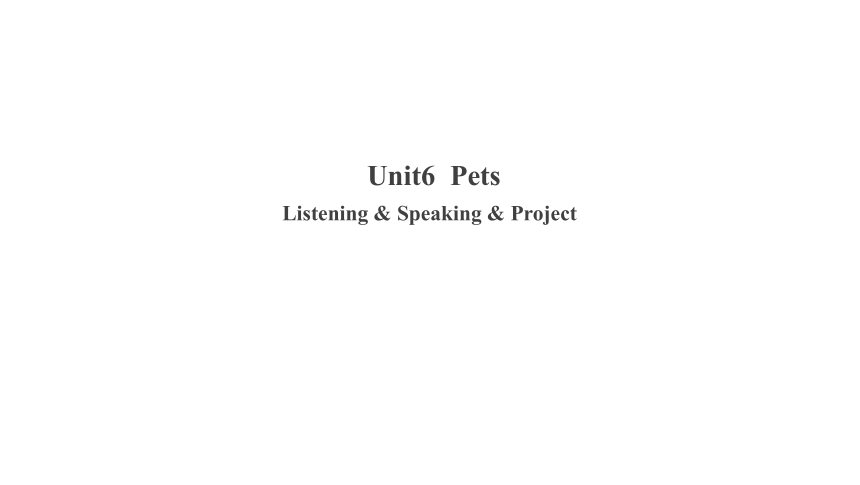 Module 3 Animals Unit 6 Pets  listening &speaking &project听说课件 (共38张PPT)