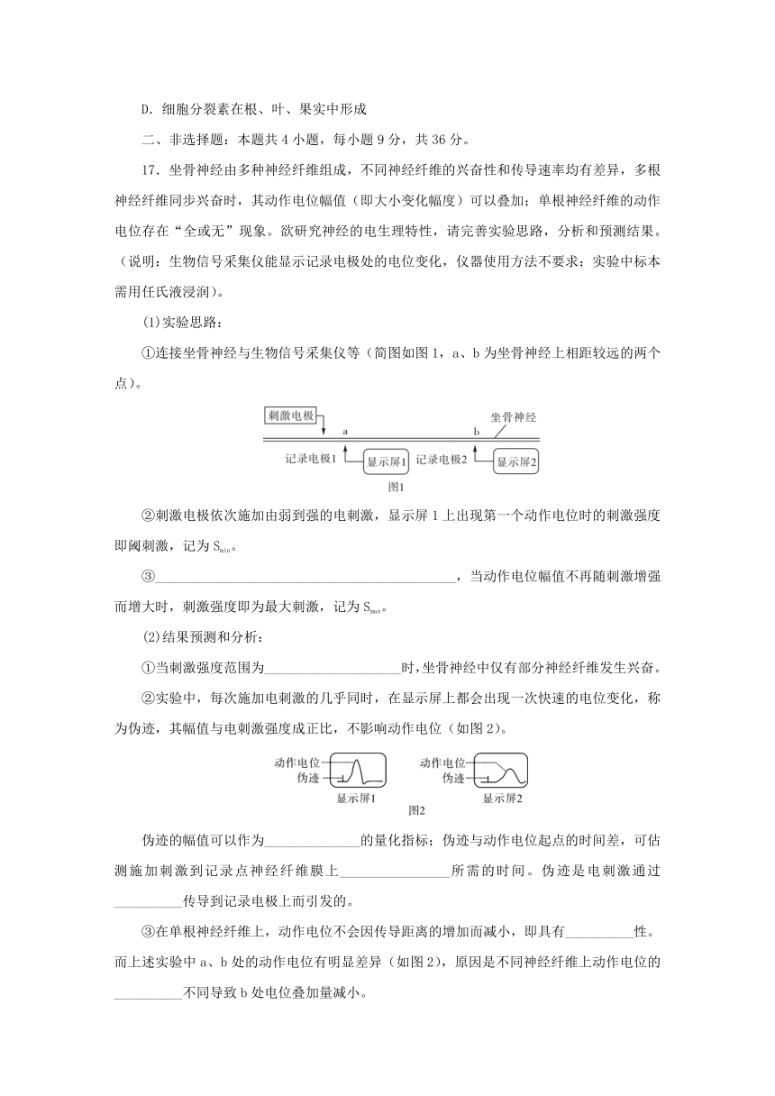 新人教版选择性必修1 2024版高中生物期末检测卷（含解析）