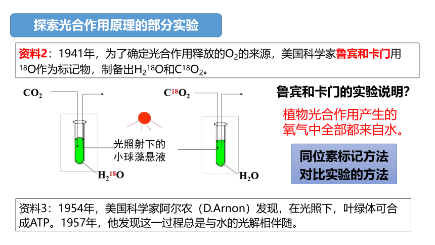 人教版（2019）必修1 第5章 细胞的能量供应和利用复习（第2、3课时）(课件共42张PPT)