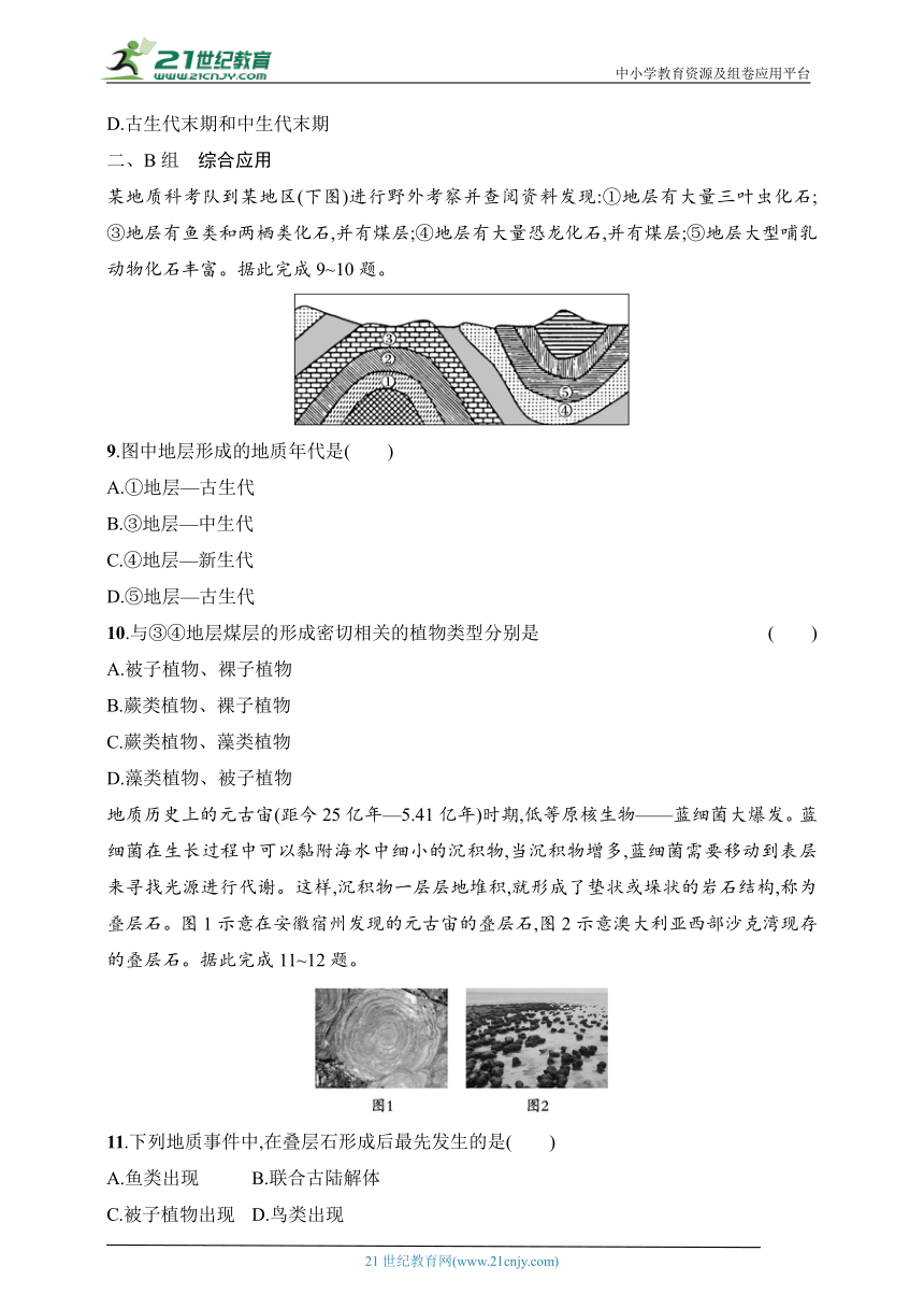 2024浙江专版新教材地理高考第一轮基础练--考点分层练8　地球的演化（含解析）