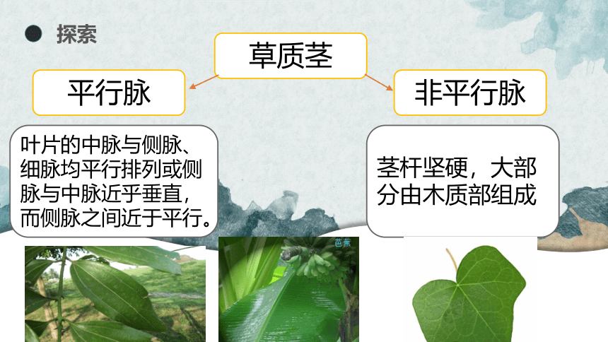 科学六年级下册教科版2.2制作校园生物分布图 课件(共13张PPT)