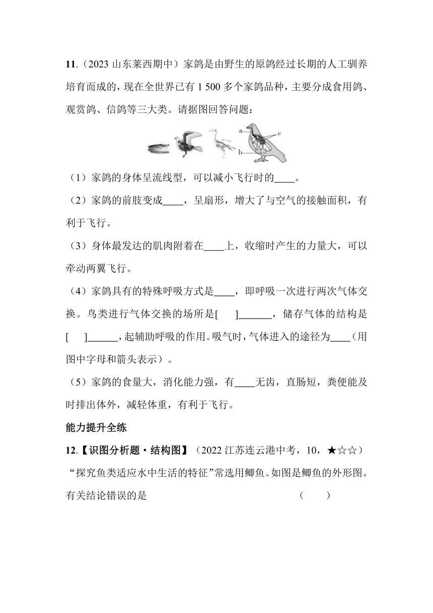 2.2.2　脊椎动物的主要类群素养提升练（含解析）山东省济南市济南版生物七年级上册