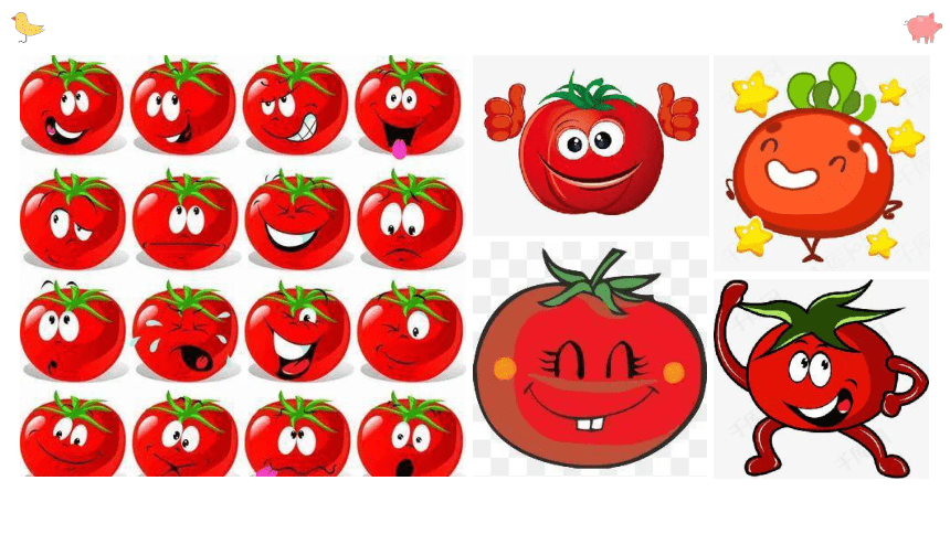 美术社团课程《西红柿开派对》小学延时服务(共20张PPT)