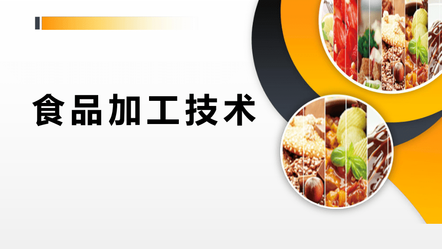 项目５ 任务3发酵豆制品生产技术 课件(共29张PPT)- 《食品加工技术》同步教学（大连理工版）