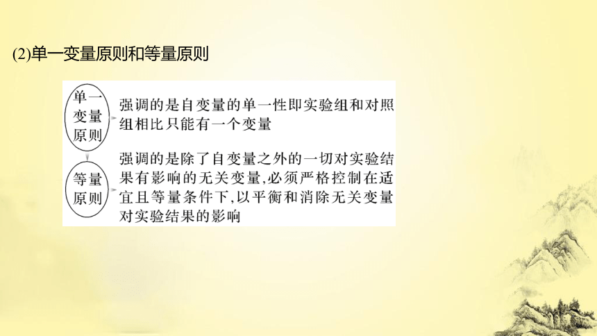 高考生物总复习微专题2 实验专题讲座(课件共38张PPT)