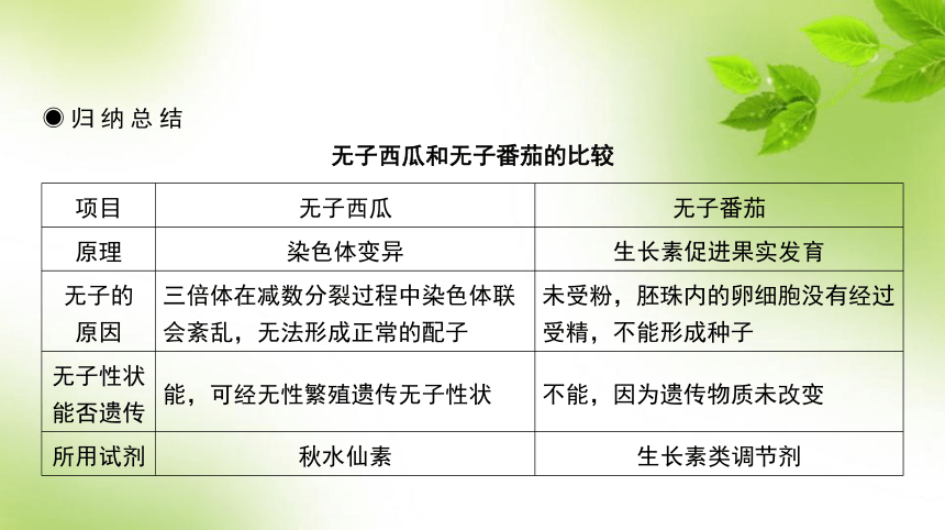 人教高考生物一轮复习课件：第37讲　其他植物激素、其他因素参与调节植物生命活动(共58张PPT)