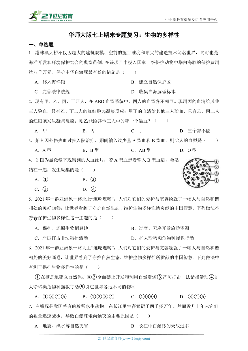 华师大版科学七上期末专题复习： 生物的多样性（含答案）