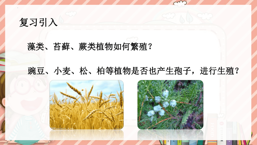 3.1.2 种子植物-2023-2024学年七年级生物上册同步课件