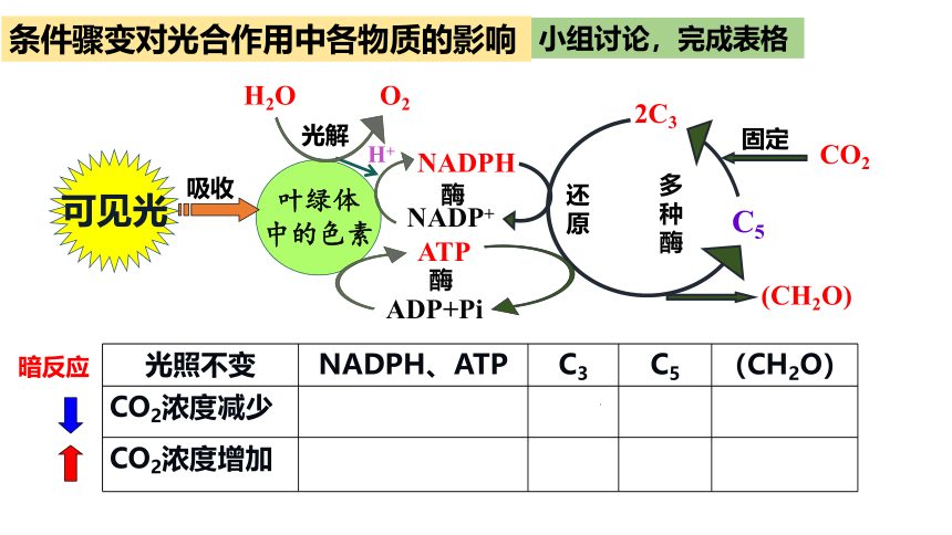 人教版（2019）必修1 第5章 细胞的能量供应和利用复习（第2、3课时）(课件共42张PPT)