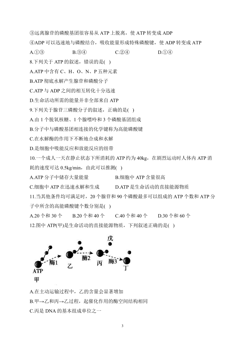 3.1ATP是细胞内的“能量通货”（含解析）——2023-2024学年高一生物学浙科版（2019）必修一课时分层练