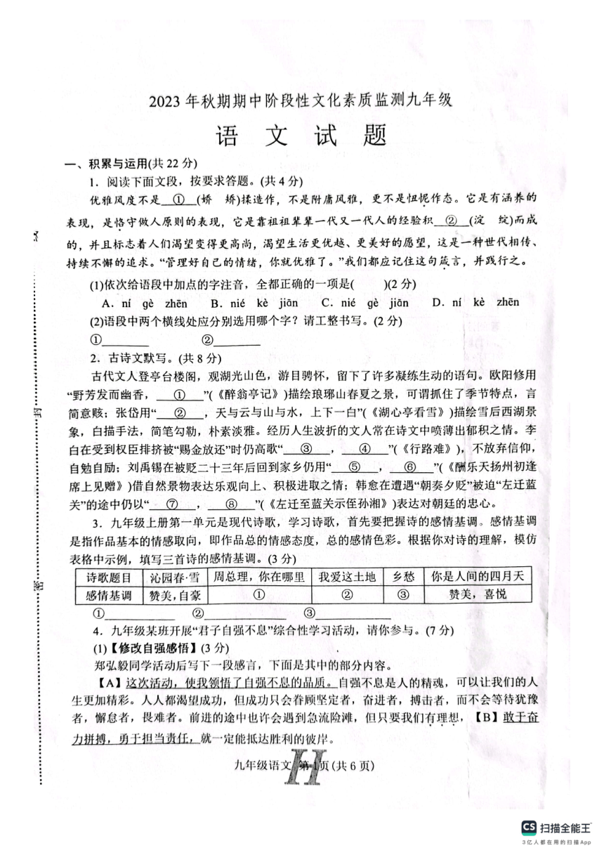 河南省南阳市唐河县2023-2024学年九年级上学期11月期中语文试题（扫描版，含答案）