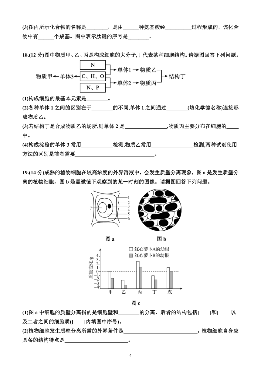 高中生物必修1（综合测试卷）（附解析）—2023-2024学年人教版(2019）生物高一上学期必修1