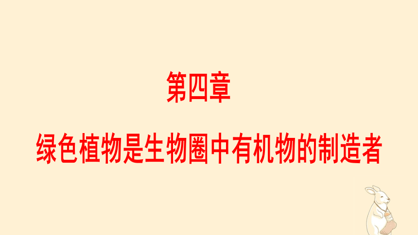 3.4绿色植物是生物圈中有机物的制造者 课件(共24张PPT)2022-2023学年人教版生物七年级上册