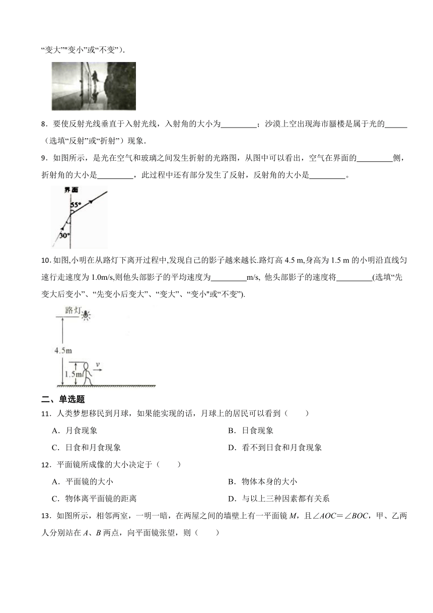 第四章 光现象 单元检测  （含答案） -2023-2024学年人教版物理八年级上册