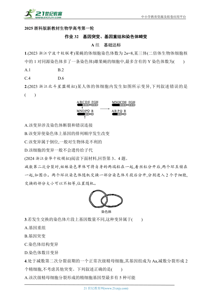 2025浙科版新教材生物学高考第一轮基础练--作业32　基因突变、基因重组和染色体畸变（含解析）