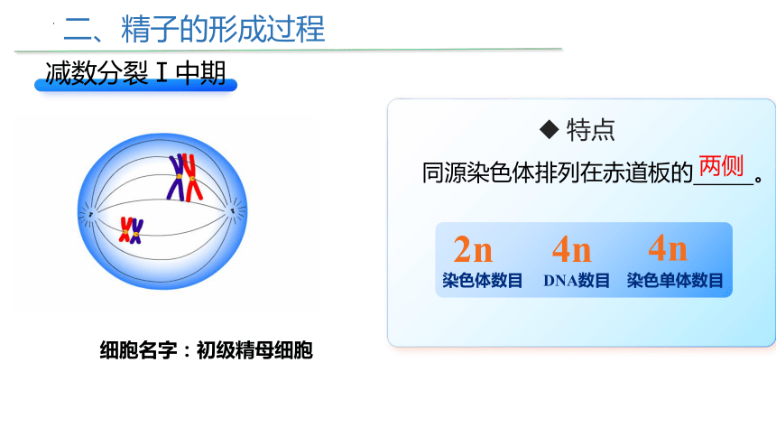 2.1减数分裂和受精作用（第一课时）课件（共38张PPT、1份视频） 人教版必修2