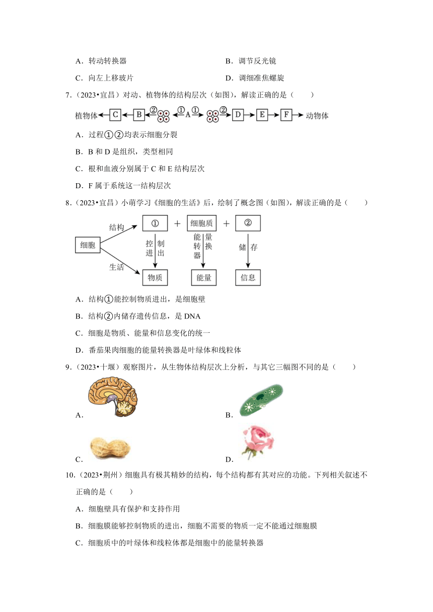 专题1生命系统的结构层次——2022-2023年湖北省中考生物试题分类（word版+解析版）