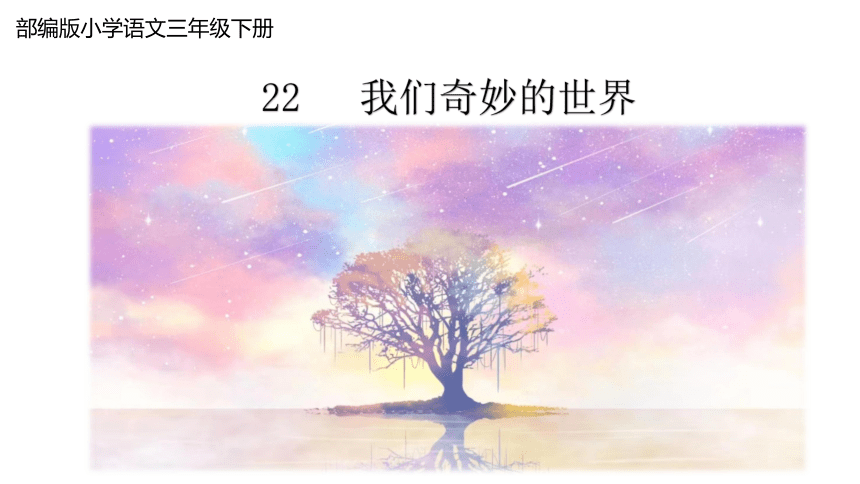 22.《我们奇妙的世界》课件(共49张PPT)