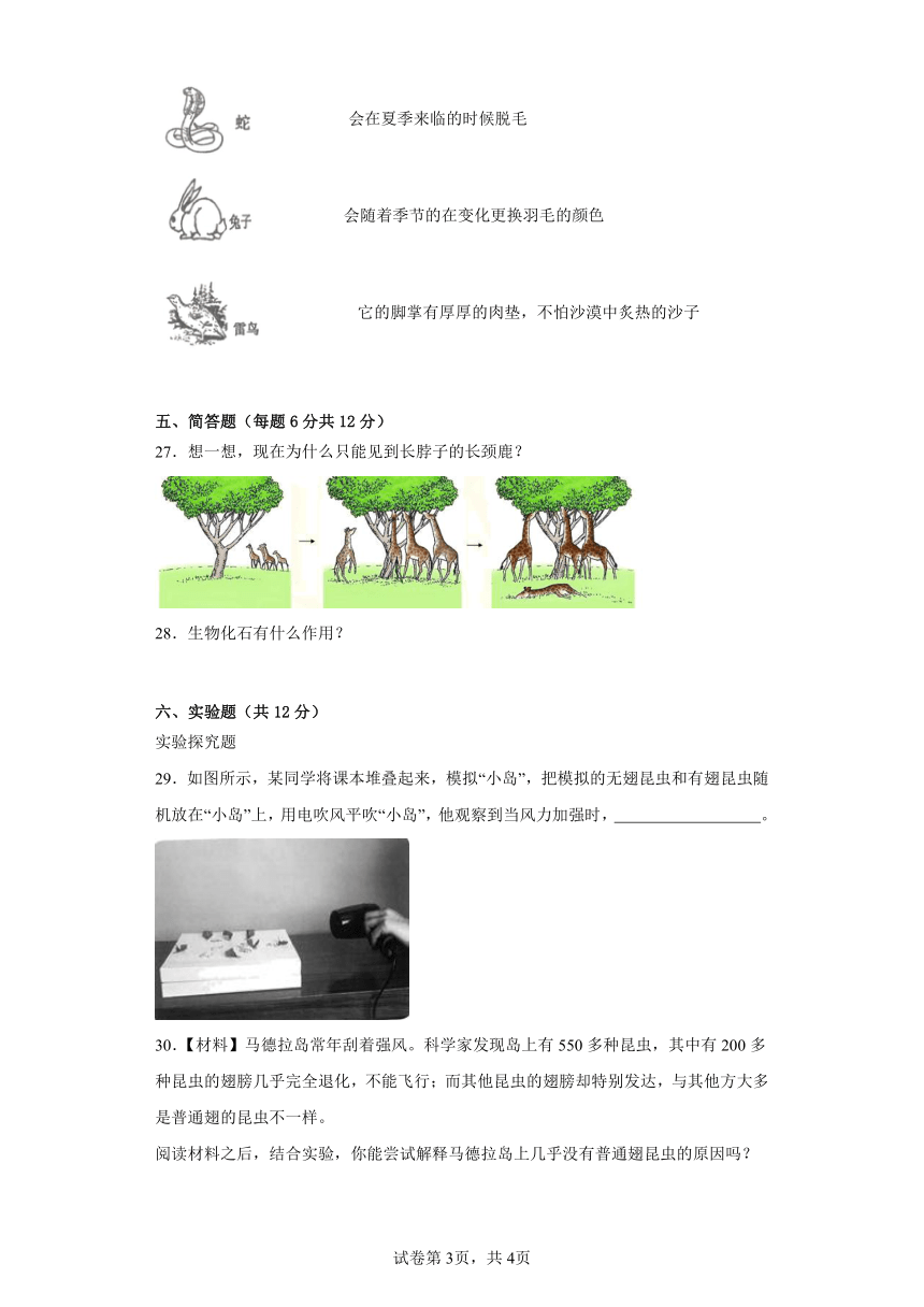 粤教版六年级科学上册第四单元遗传与进化质量测试卷（一）附答案