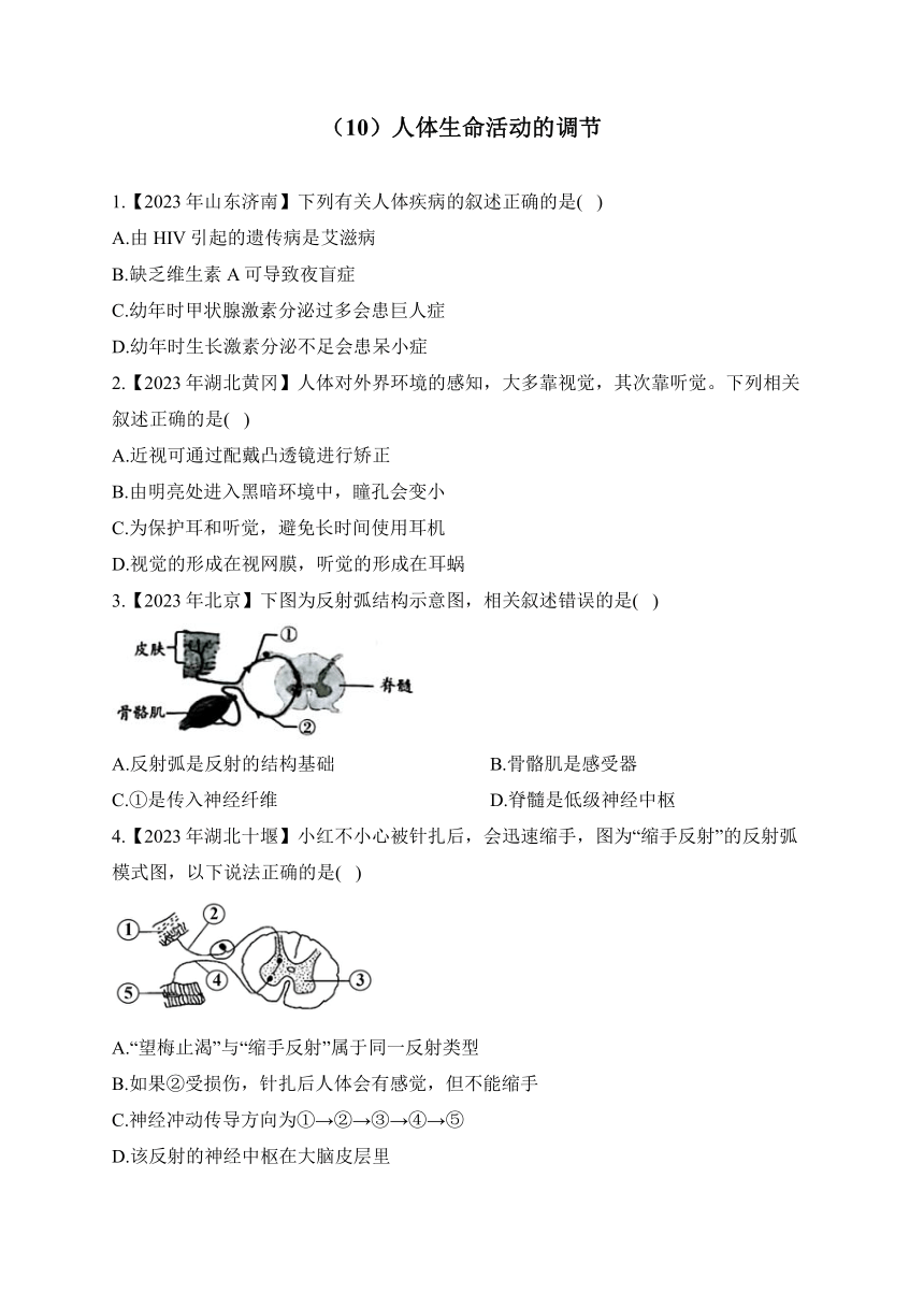 （10）人体生命活动的调节——2023年中考生物真题专项汇编（含答案）