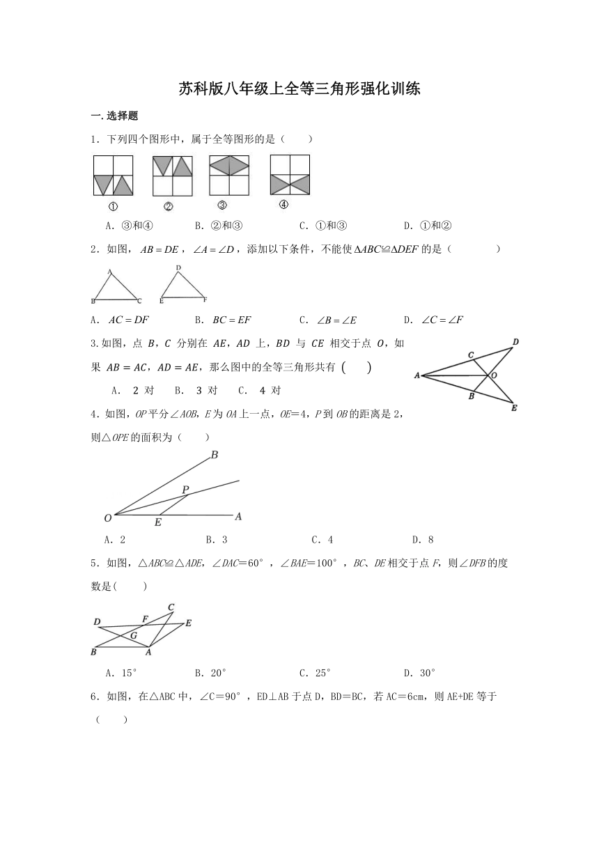 2023-2024学年苏科版八年级数学上册第一章全等三角形强化训练（无答案）