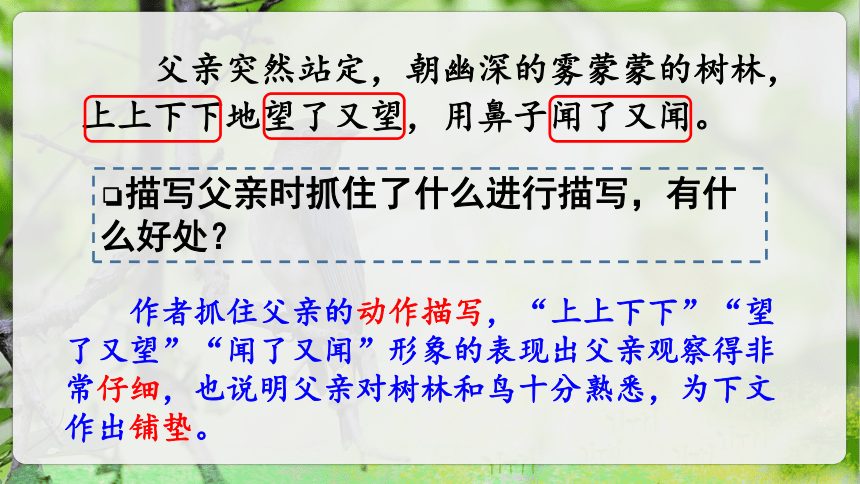 23.《父亲、树林和鸟》第二课时课件（共35张PPT）