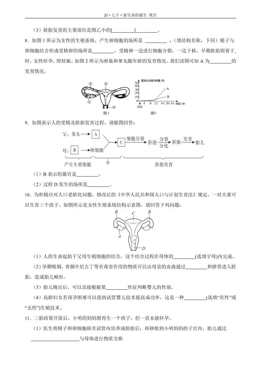 1.1 新生命的诞生 填空专项（含答案）