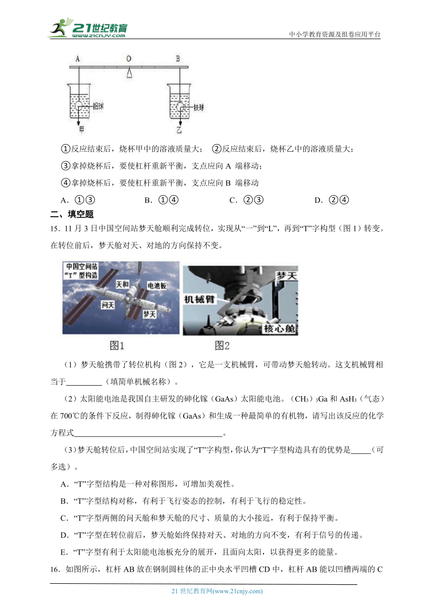 华师大版科学九上期末专题复习：杠杆（含答案）