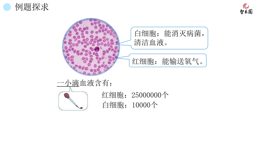 人教版小数四年级上册 1.5 改写数 课件