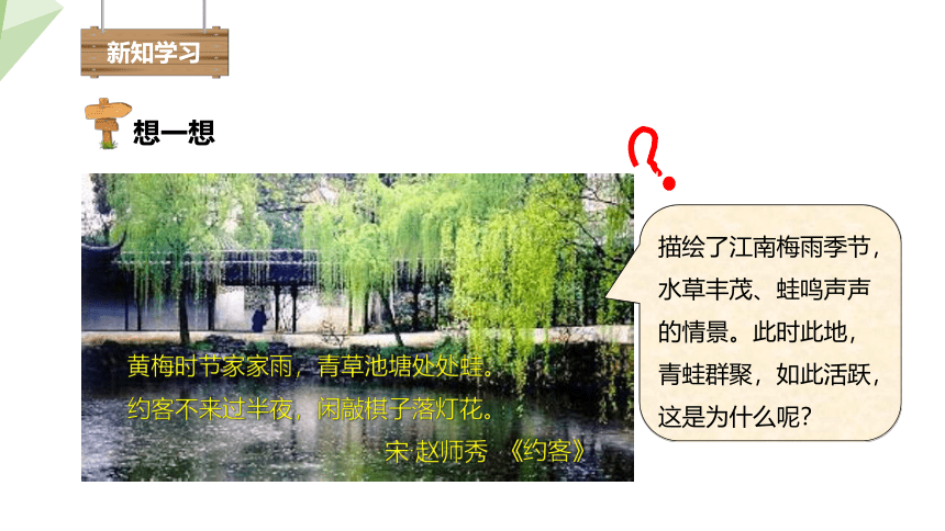 7.1.3 两栖动物的生殖和发育 课件(共22张PPT)2023-2024学年初中生物人教版八年级下册