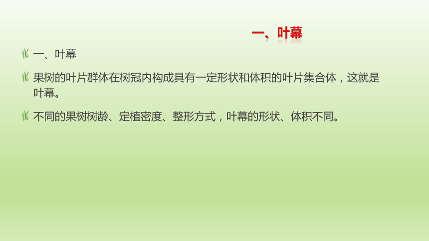 1.3.4叶幕与叶面积指数 课件(共21张PPT）-《果树生产技术》同步教学（中国农业出版社）