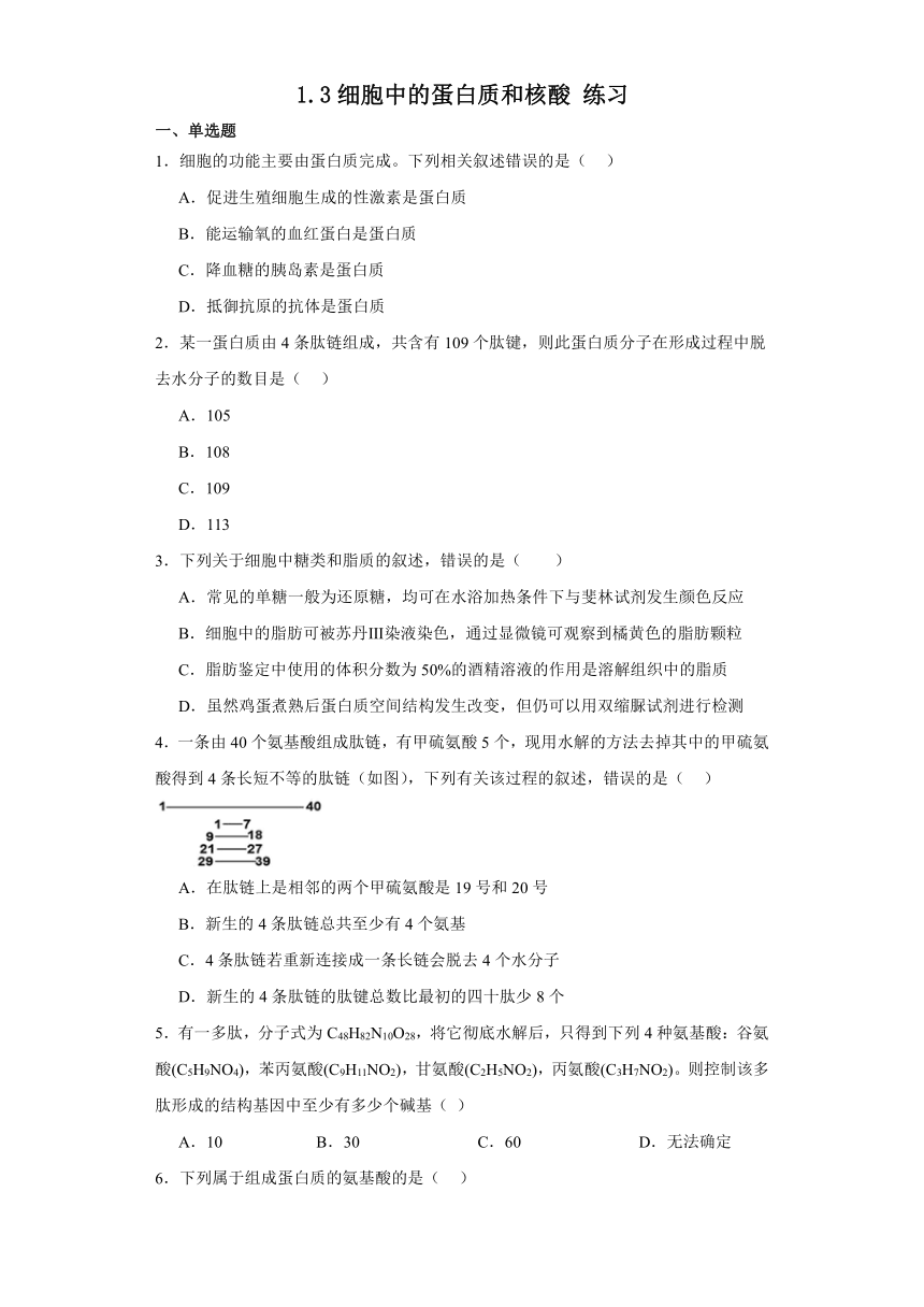 1.3细胞中的蛋白质和核酸 练习（解析版）