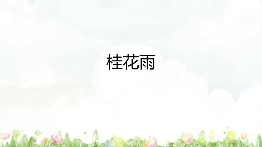 3《桂花雨》 课件 (共26张PPT)