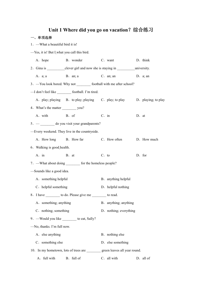 Unit 1 Where did you go on vacation？综合练习（含答案）2023-2024学年人教版英语八年级上册
