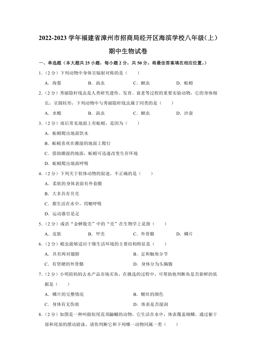 福建省漳州市招商局经济技术开发区海滨学校2022-2023学年八年级上学期期中生物试卷（word版+解析版）