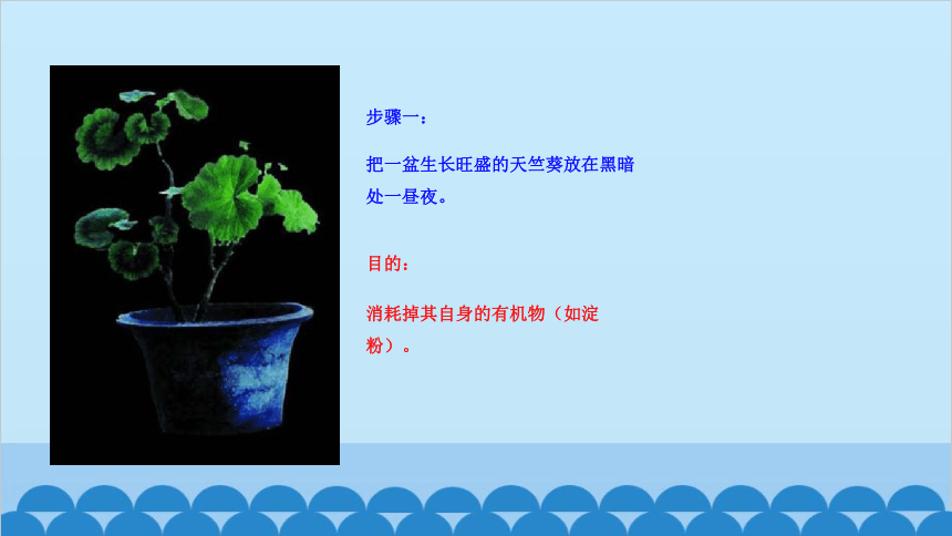 3.6.3  植物光合作用的实质课件 (共18张PPT) 苏教版生物七年级上册