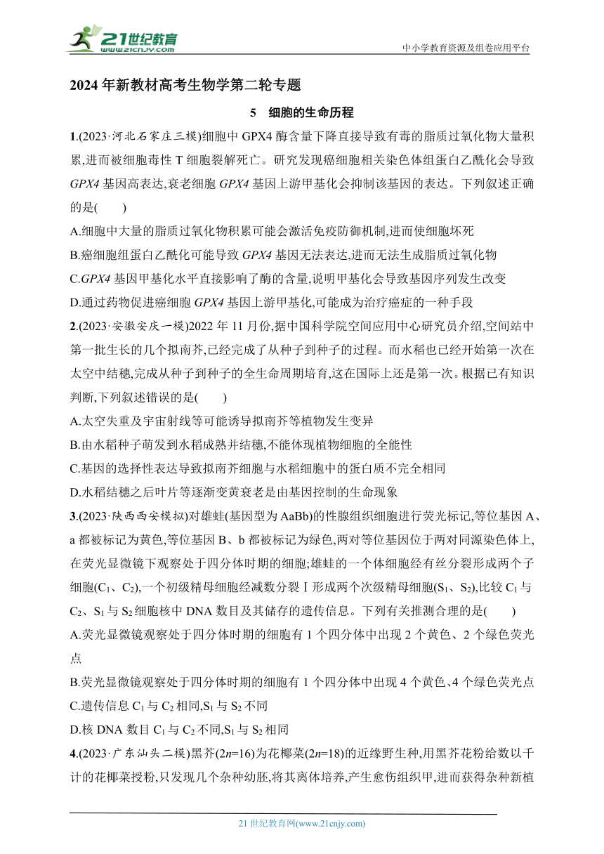 【备考2024】高中生物二轮专题练习  5.细胞的生命历程（含解析）