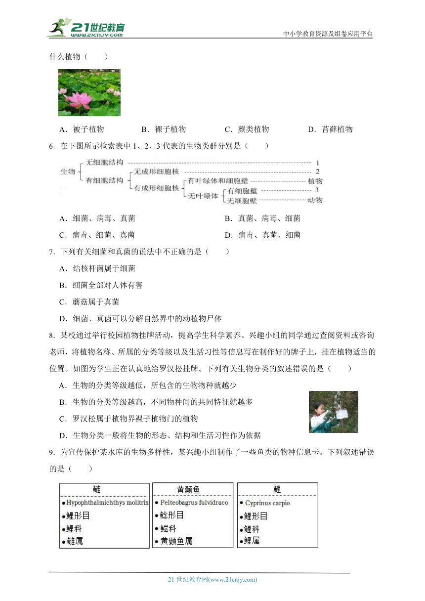 华师大版科学七年级期中测试卷1（含答案）