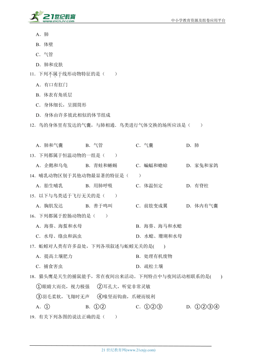 2023年秋期人教版生物八上5.1 动物的主要类群质量评估检测题2（含解析）