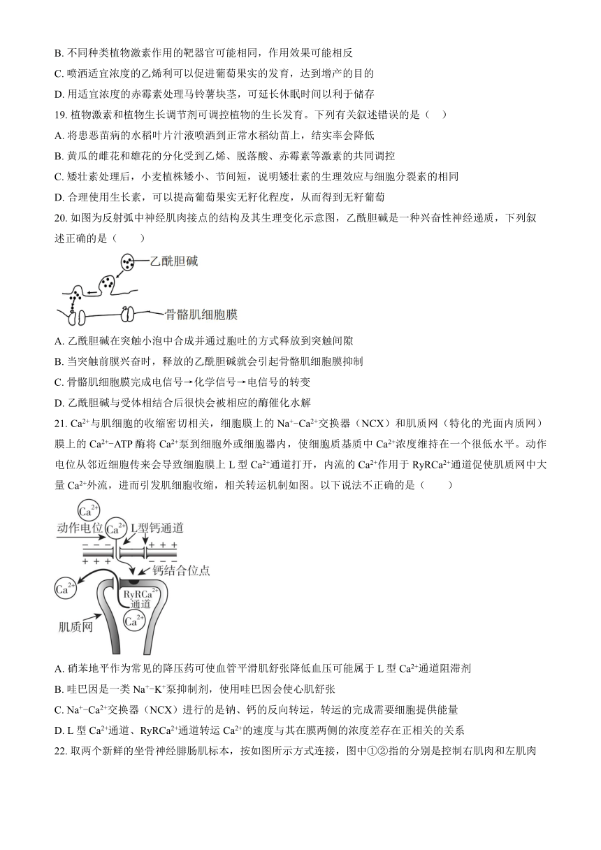 2023北京八十中高二（上）期中生物（教师版）（有解析）