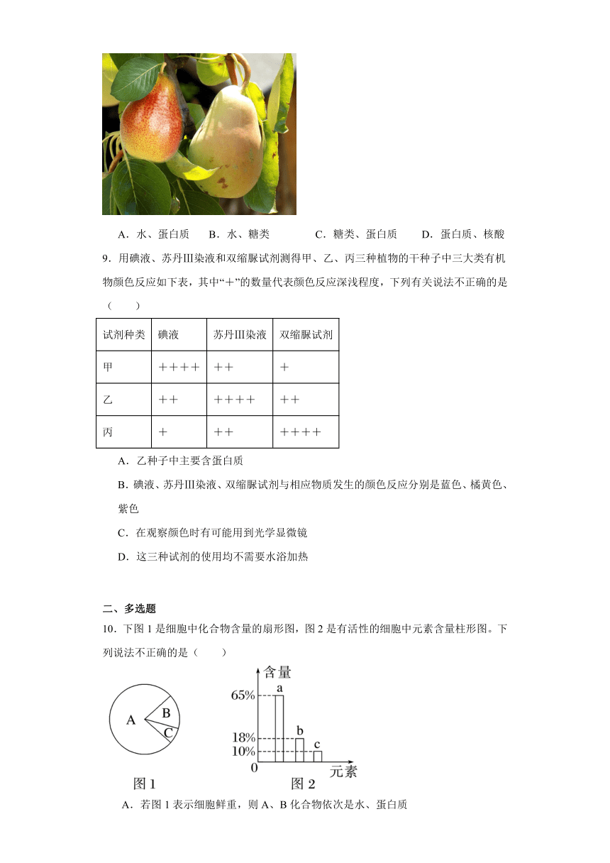 2.1细胞中的元素和化合物同步练习2023-2024学年高一上学期生物人教版必修1（含答案）