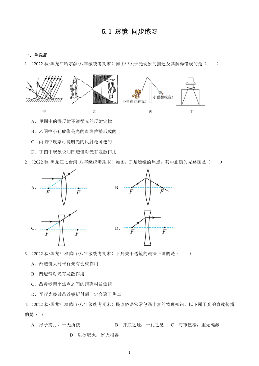 5.1 透镜 同步练习（含解析） 2022-2023学年上学期黑龙江省各地八年级物理期末试题选编