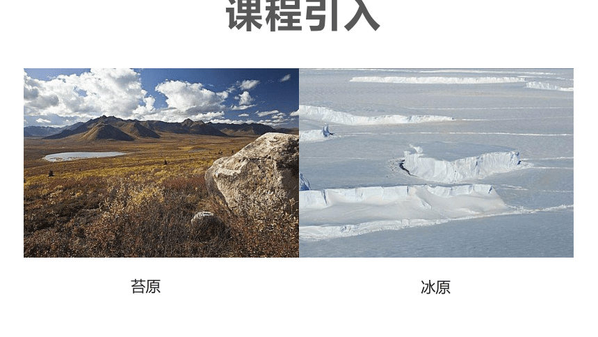 6.5极地地区（第1课时）课件(共32张PPT) 中图版地理八年级下册