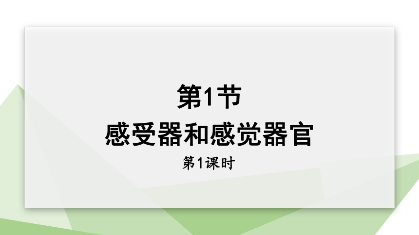 4.12.2 感受器和感觉器官 第1课时 课件 (共17张PPT)2023-2024学年初中生物北师版七年级下册