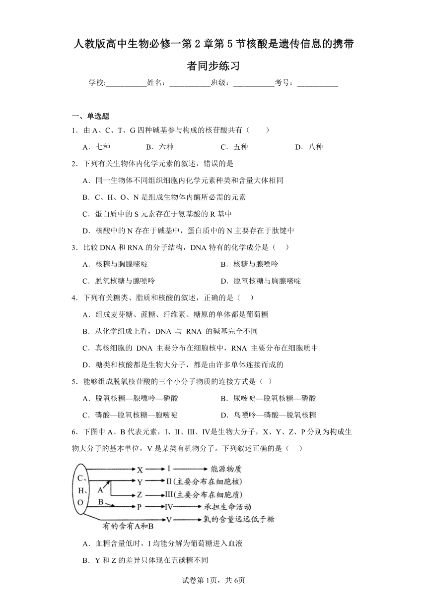 人教版高中生物必修一第2章第5节核酸是遗传信息的携带者同步练习（含答案）