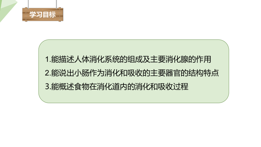 4.9.2 人体的消化吸收 课件 (共26张PPT)2023-2024学年初中生物苏教版七年级下册