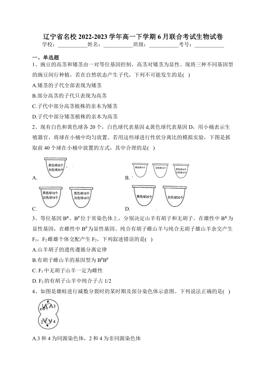 辽宁省名校2022-2023学年高一下学期6月联合考试生物试卷（含解析）