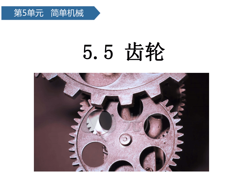 青岛版（六三制2017秋）科学 六年级上册 5.18齿轮 课件(共16张PPT)