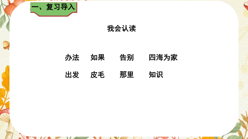 3植物妈妈有办法 课件(共22张PPT)